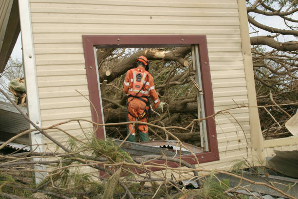 Trusted Warren, MN Tree Removal Experts